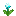 Flora icon