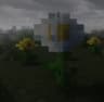 A normal experience icon