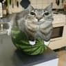 Cat on watermelon but it's a totem icon
