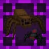 SHC Spiders icon