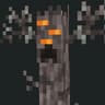 The creeking icon