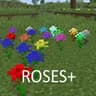 Roses+ icon