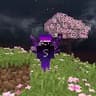 Sammy Purple icon