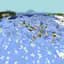 permafrost biome icon
