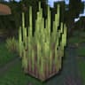 Wetland Whimsy icon