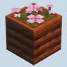 TravellersToasts icon