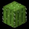 Colocti Origin icon