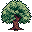 Kyo's Cottonwood Forest icon