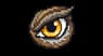 Eagle eye icon