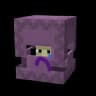 No Ender Shulks icon