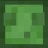 Slime Time icon