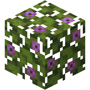 Translucent Leaves icon