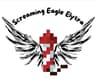 Screaming Eagle Elytra icon