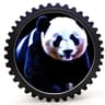 All in One: Create Panda icon
