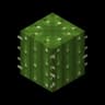 Dungeons Cactus icon