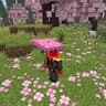Hex's Tools-Umbrellas icon