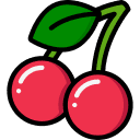CherryST Modpack icon