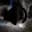 Cave Sounds Memes icon