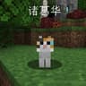 Entity Chinese Name icon