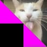 Missingno icon