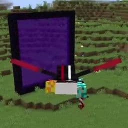 Elytra Portal Fix icon