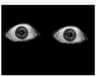 Watcher Presence icon