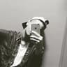 Shiloh's songs icon