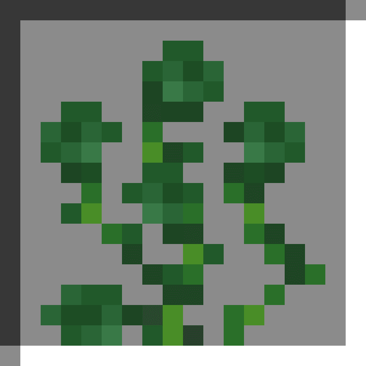 Dyema icon