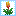KOM'S Torchflowers icon