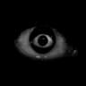 Totem Of Darkness icon