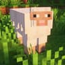 Realistic Sheeps icon