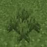 Bushy Vegetation icon