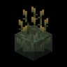 Water Firefly Bush icon
