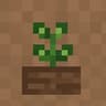 Replant+ icon