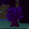 Mystic Forest icon