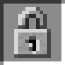 Inventory Lock icon