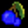 blueberries icon