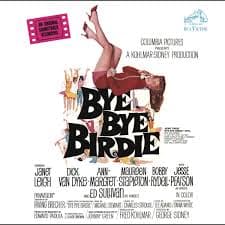 Bye Bye Birdie Music icon