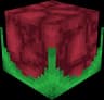 Phitive icon