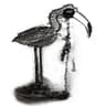 Black Flamingo icon