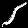 Backbone icon