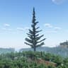 Giant Pine Tree icon