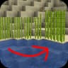 Sugarcane: Fresh Flowers and Plants icon