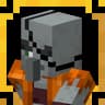 Pirate illagers icon