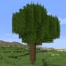 Better Foliage Renewed icon