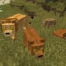 Animal Garden - Lion icon