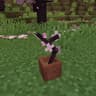 Cherry Blossom Branch icon
