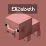 Random Entity Names icon
