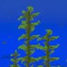 Kelp Fertilizer icon