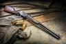cool guns western icon